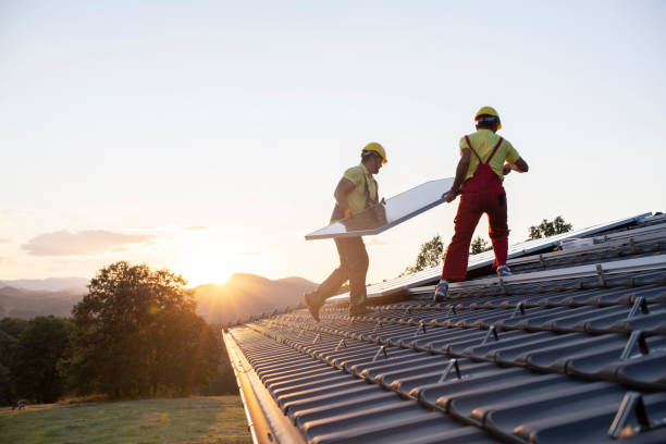 Best Roof Moss and Algae Removal  in Cornwall On Hudson, NY